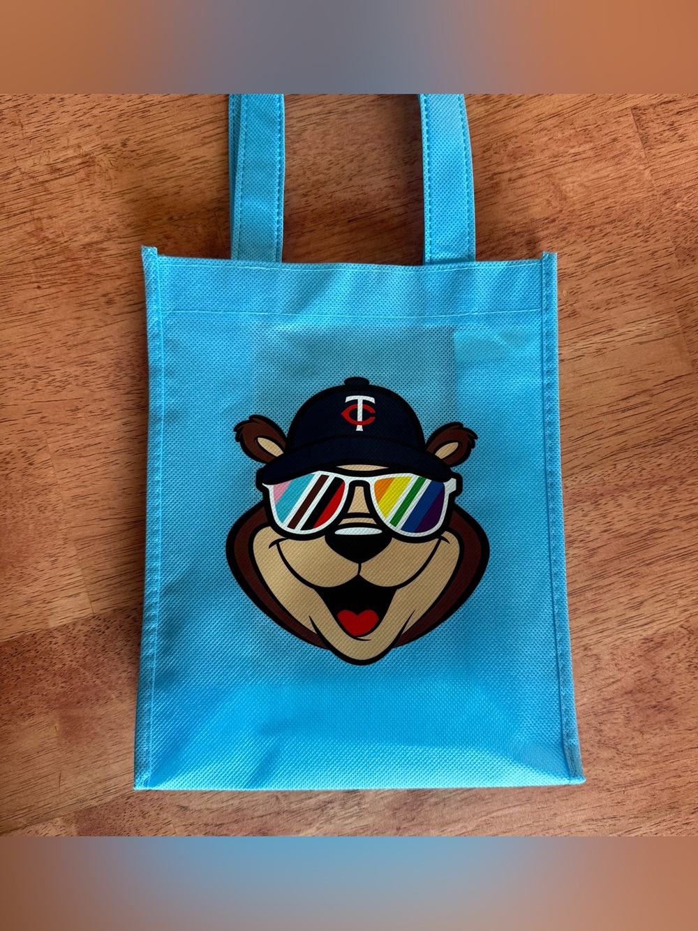 MLB Minnesota Twins Pride Reusable Bag